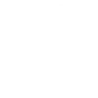 Wrench Icon